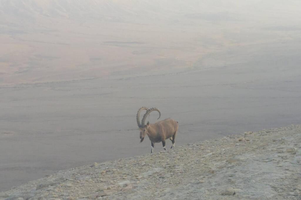 הבית ליד המצוק By The Cliff Villa Mitzpe Ramon
